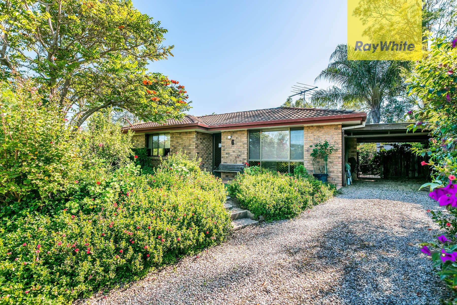 11
                Jacaranda
                Place
            
            
            
            tamworth
            
            
            NSW,
            2340, Tamworth - Image 1