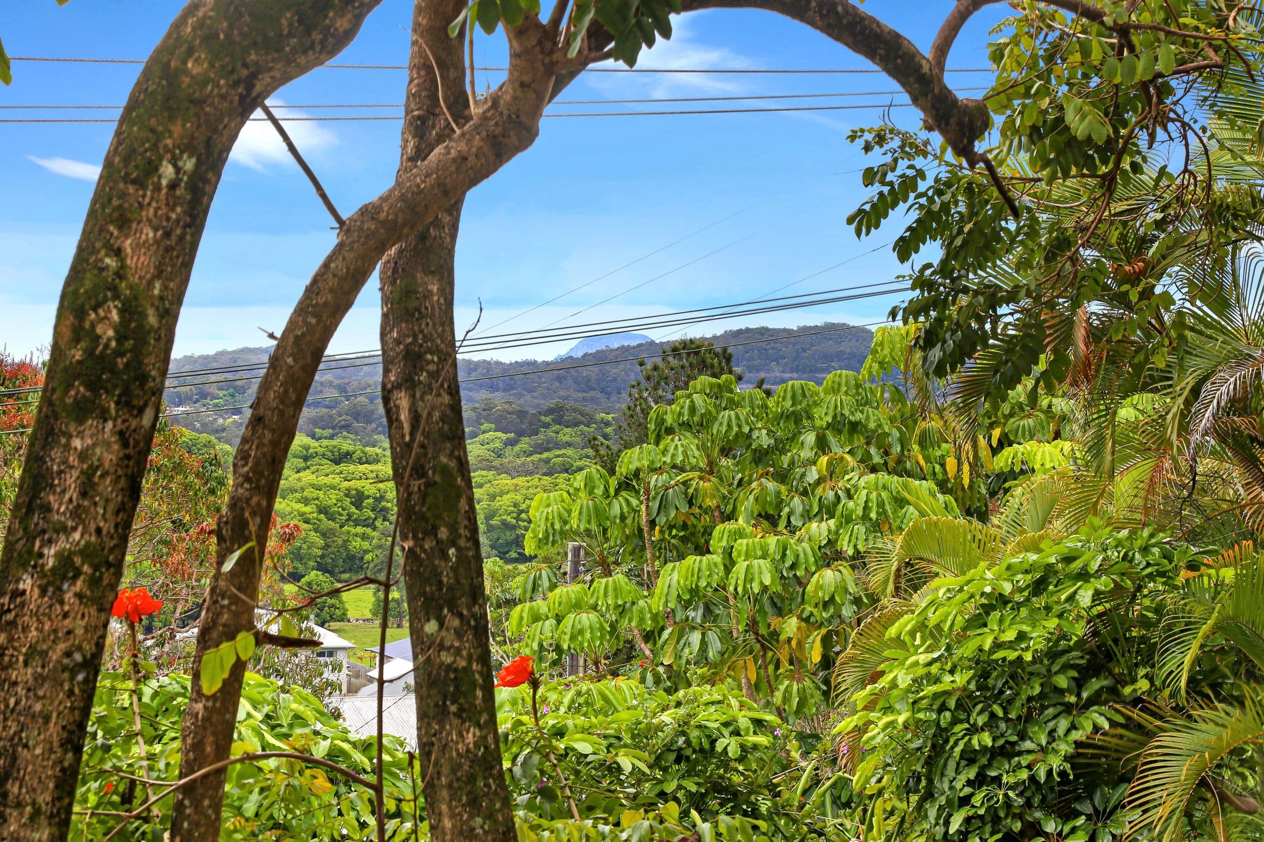 18 Petrie Creek Road, Nambour QLD 4560, Nambour - Thumbnail 6