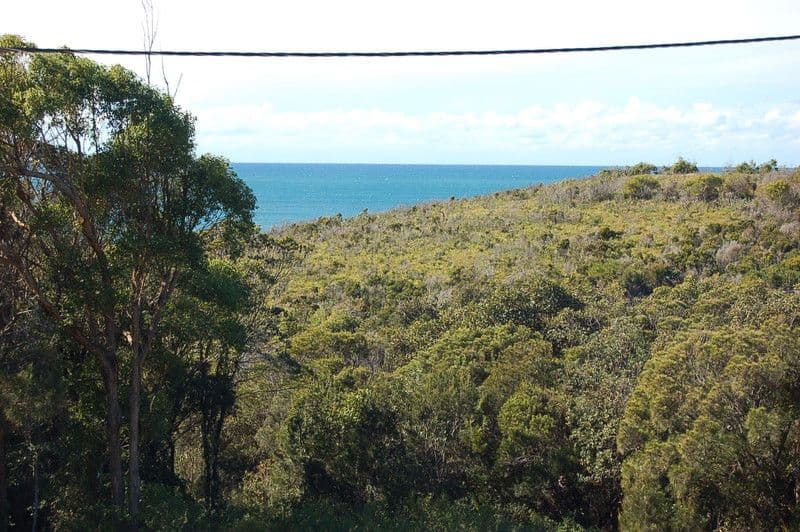 16 Pilot Street, NAMBUCCA HEADS NSW 2448, Nambucca Heads - Thumbnail 6