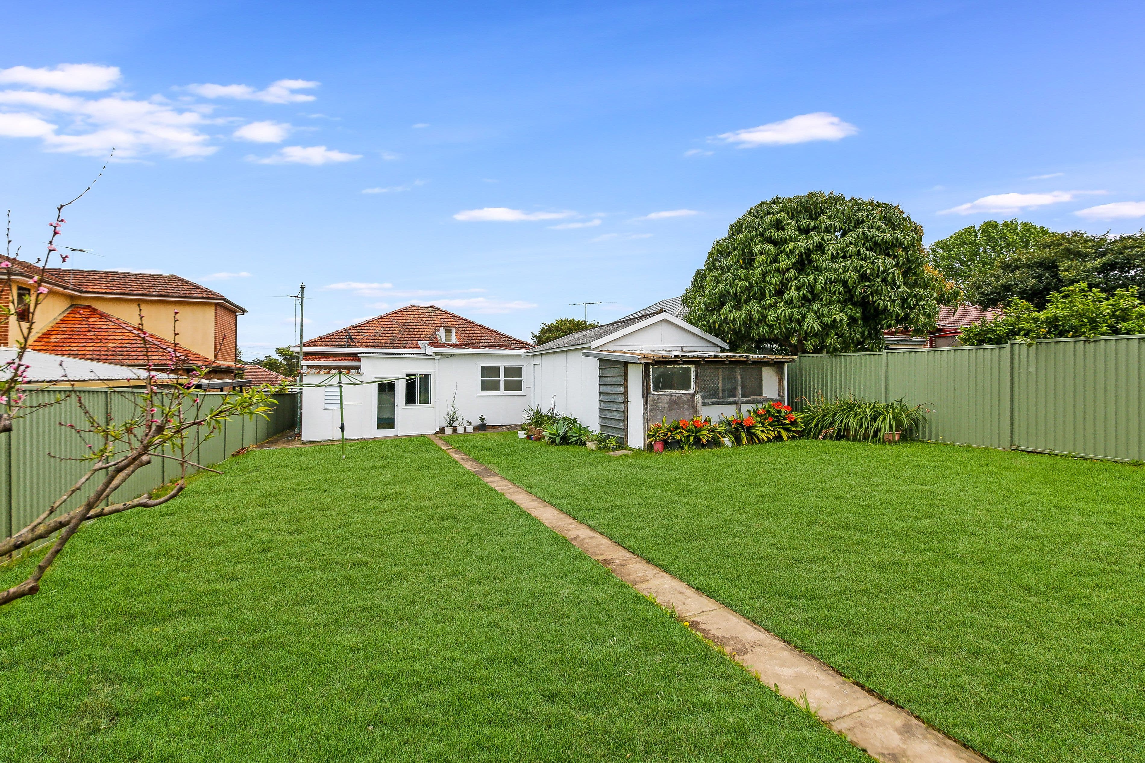36 Mazarin Street, Riverwood NSW 2210, Riverwood - Thumbnail 7