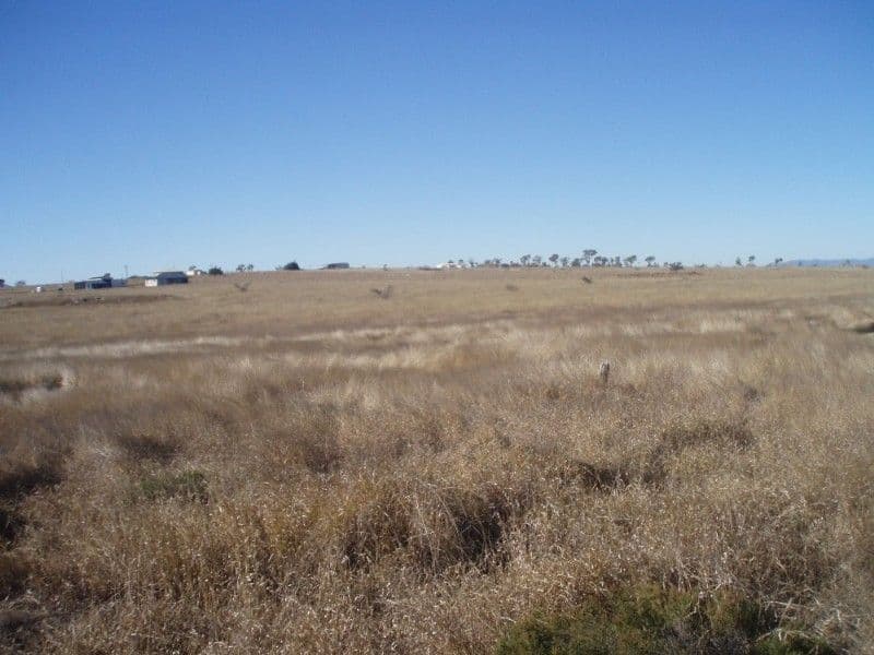 Lot 241 McKenzie Road, ALTON DOWNS QLD 4702, Alton Downs - Thumbnail 4