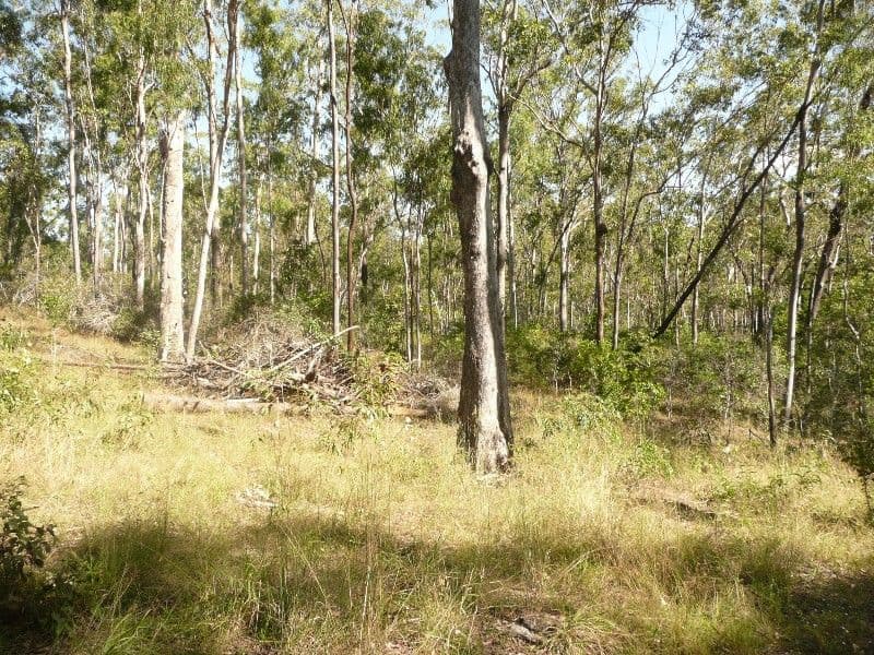 0 The Cedars Road, BUNDABERG QLD 4670, Bundaberg Central - Thumbnail 4