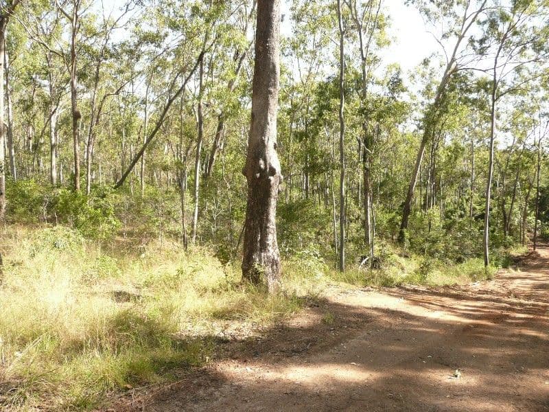 0 The Cedars Road, BUNDABERG QLD 4670, Bundaberg Central - Thumbnail 5