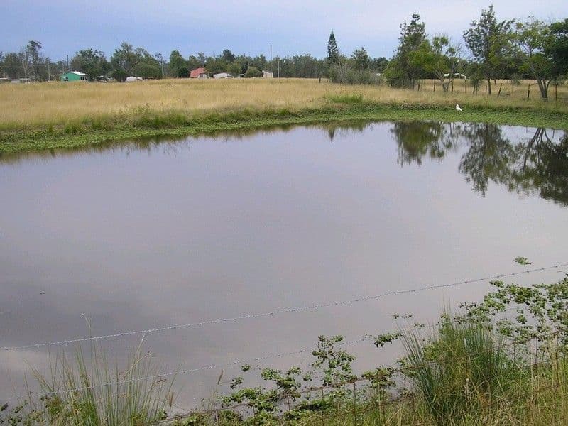 BRIGHTVIEW QLD 4311, Brightview - Thumbnail 3