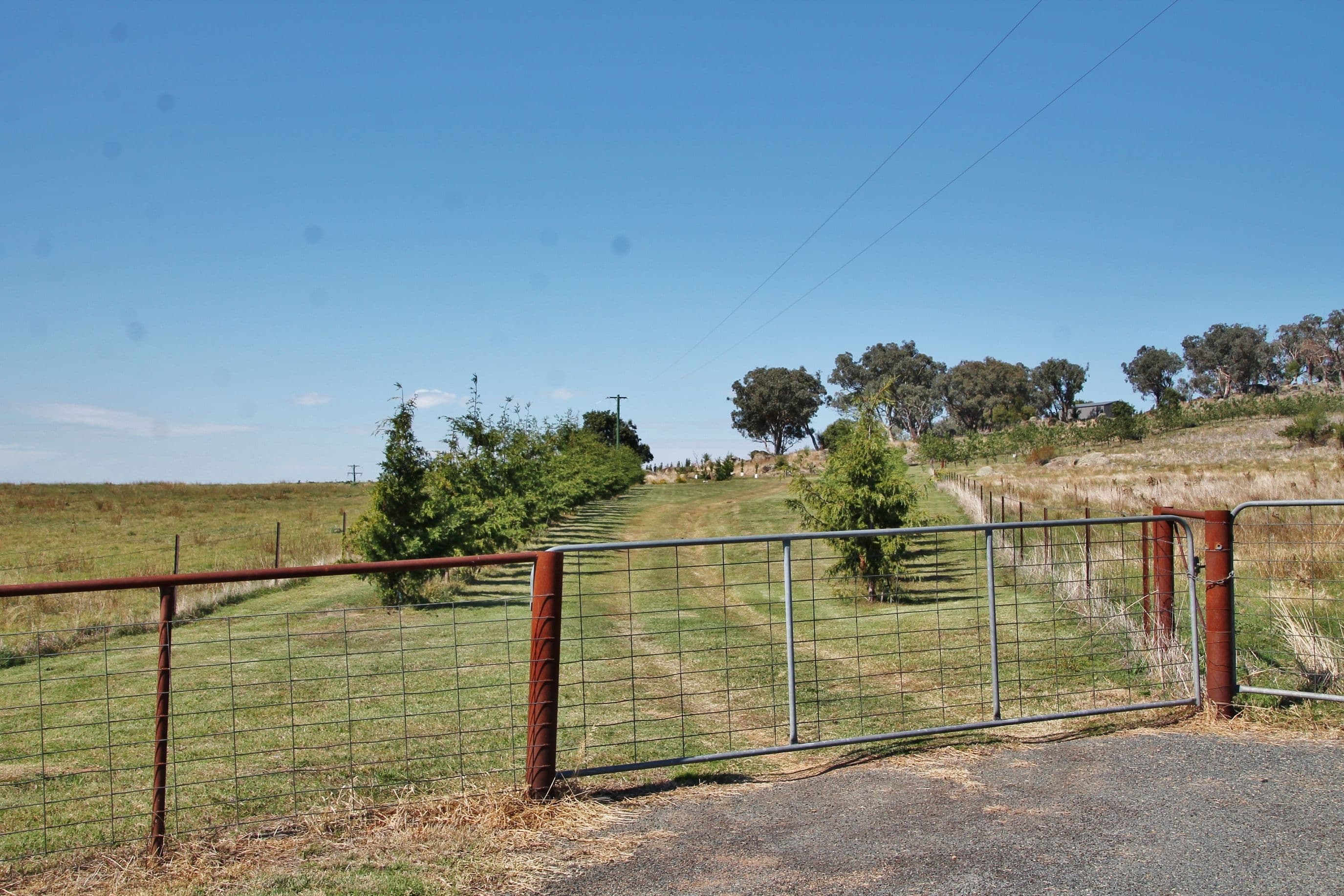 20 Curtis Place, Young NSW 2594, Young - Thumbnail 2
