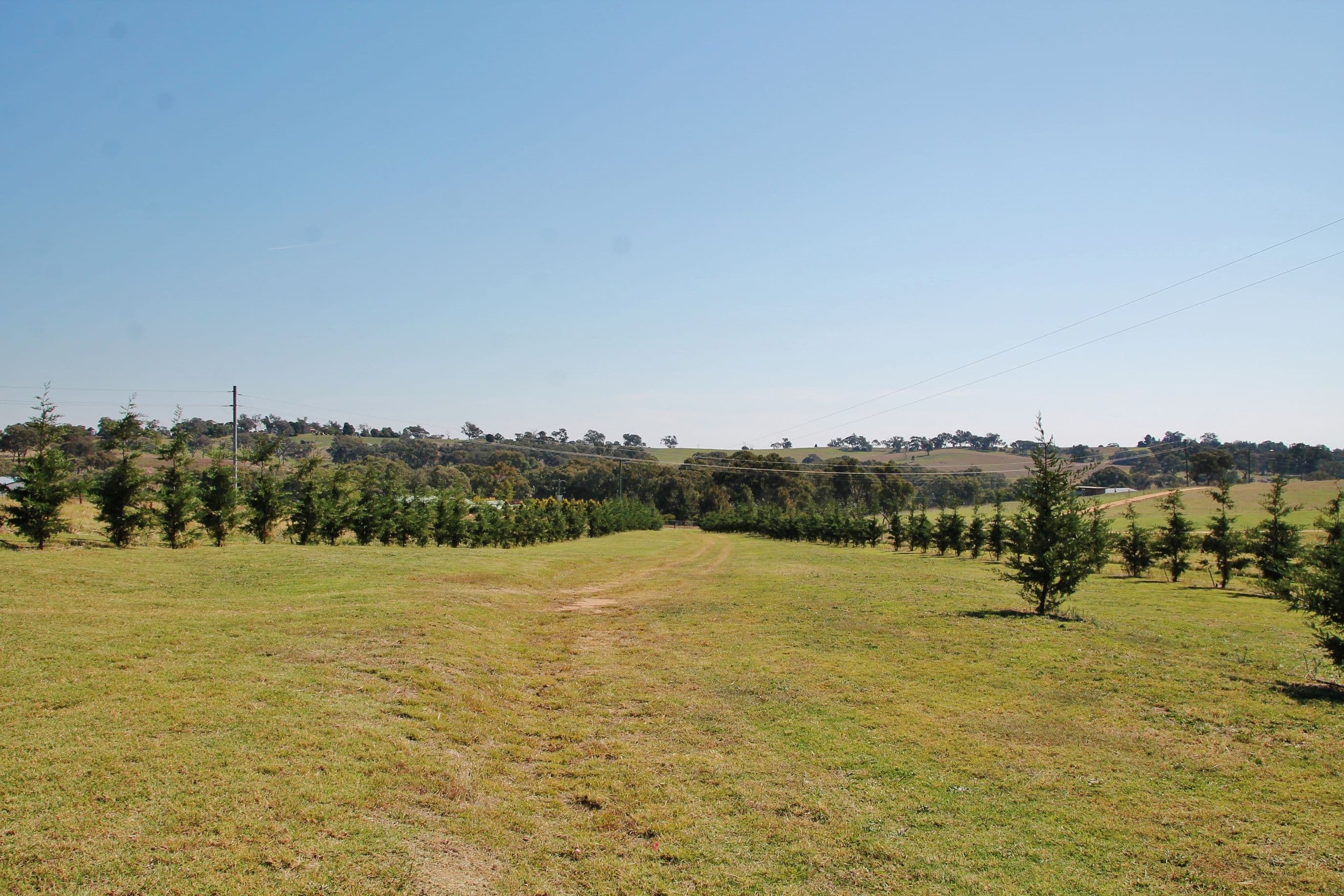 20 Curtis Place, Young NSW 2594, Young - Thumbnail 5