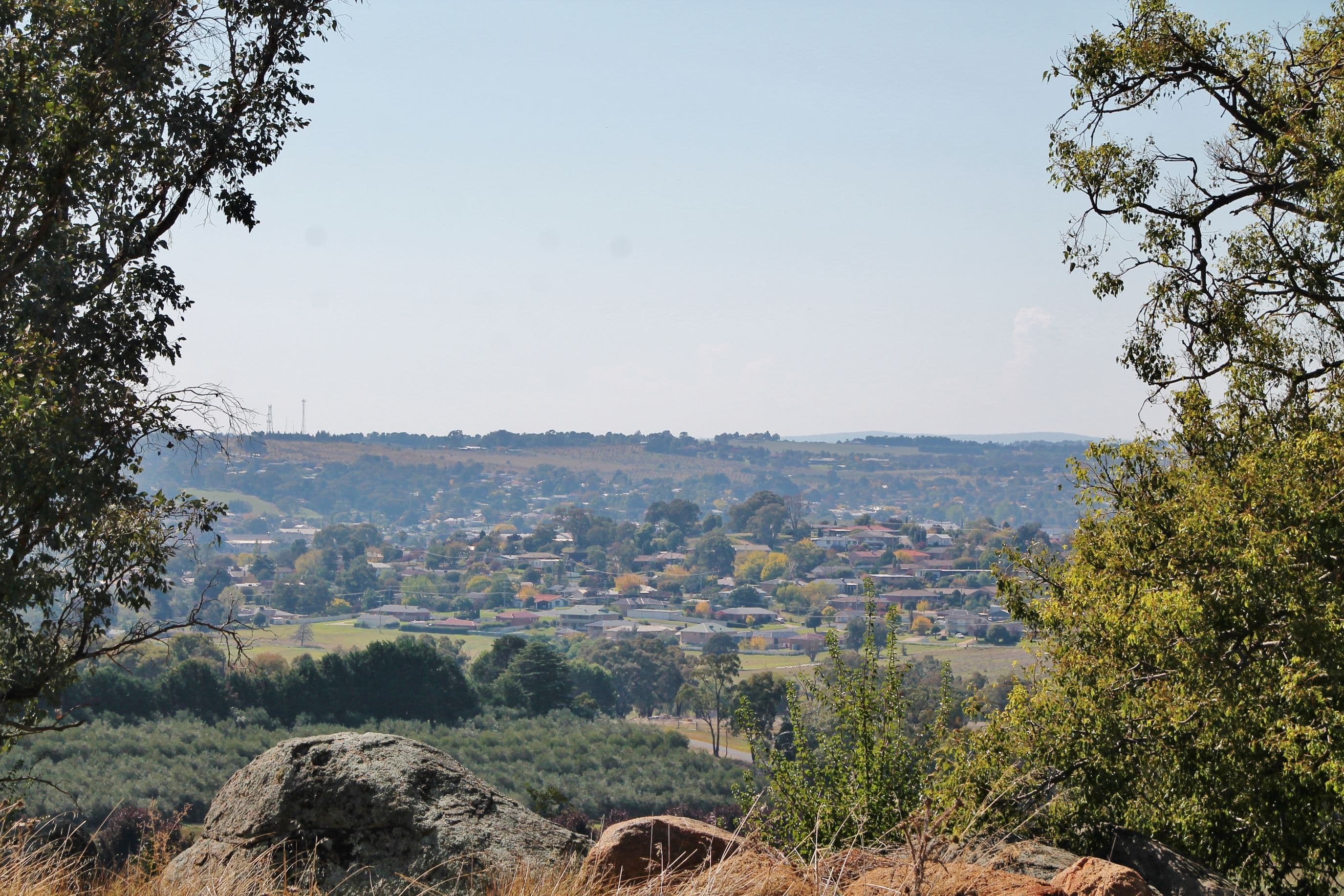 20 Curtis Place, Young NSW 2594, Young - Thumbnail 7
