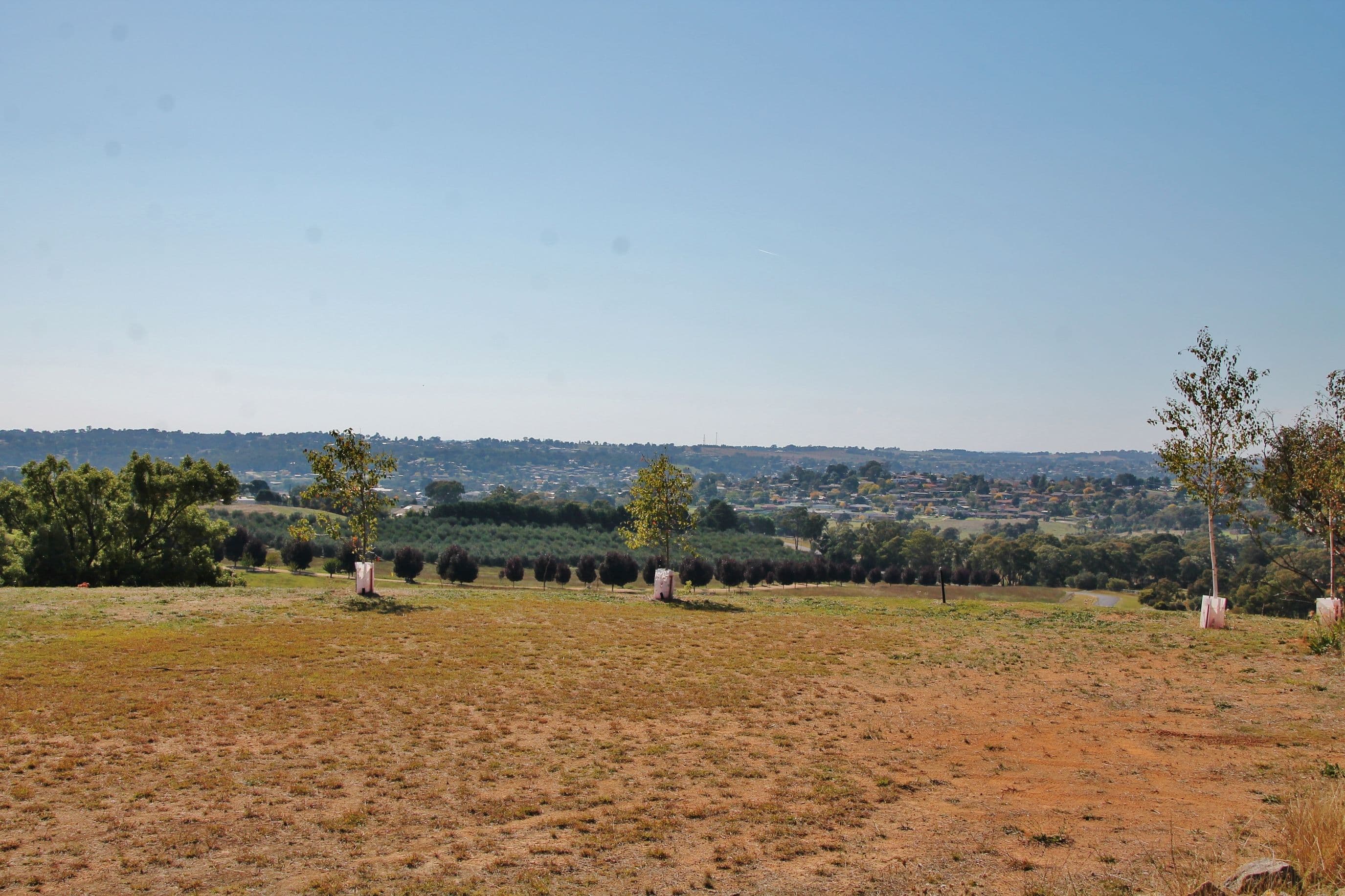 20 Curtis Place, Young NSW 2594, Young - Thumbnail 8