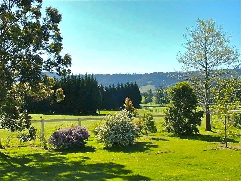 75 Jaspers Brush Road, BERRY NSW 2535, Berry - Thumbnail 3