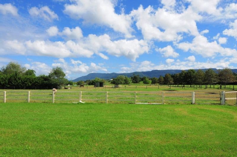75 Jaspers Brush Road, BERRY NSW 2535, Berry - Thumbnail 5