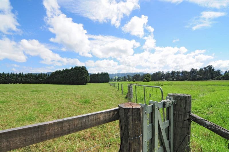 75 Jaspers Brush Road, BERRY NSW 2535, Berry - Thumbnail 8