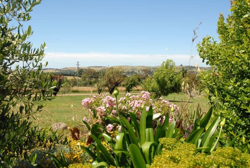 2 Hawthorn Lane, BRAIDWOOD NSW 2622, Braidwood - Thumbnail 3