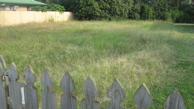 WATERFORD QLD 4133, Waterford - Thumbnail 4