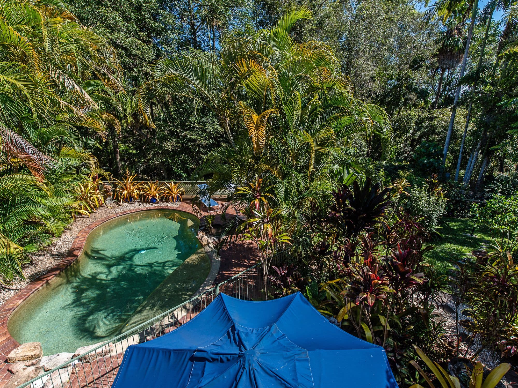 4 CEDARLEIGH Drive, Tewantin QLD 4565, Tewantin - Thumbnail 8