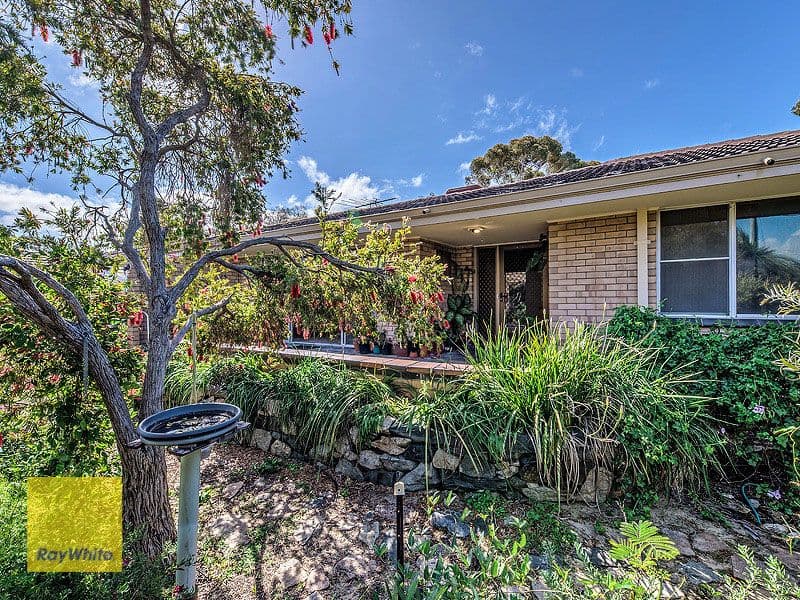 49 Jameson Street, Mosman Park WA 6012, Mosman Park - Thumbnail 3