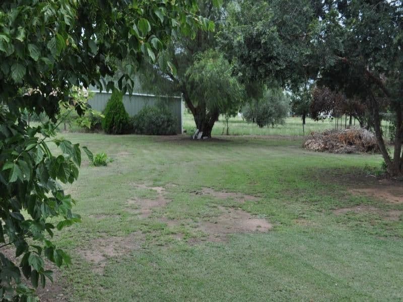 38 Pye Street, EUGOWRA NSW 2806, Eugowra - Thumbnail 3