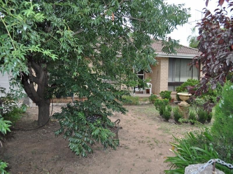 38 Pye Street, EUGOWRA NSW 2806, Eugowra - Thumbnail 4