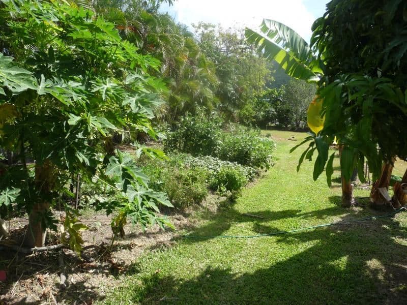 Lot 3 Captain Cook Highway, PORT DOUGLAS QLD 4877, Port Douglas - Thumbnail 7