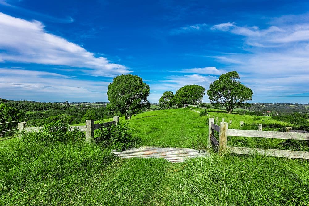 47a Cedarvale Road, Bangalow NSW 2479, Bangalow - Thumbnail 2