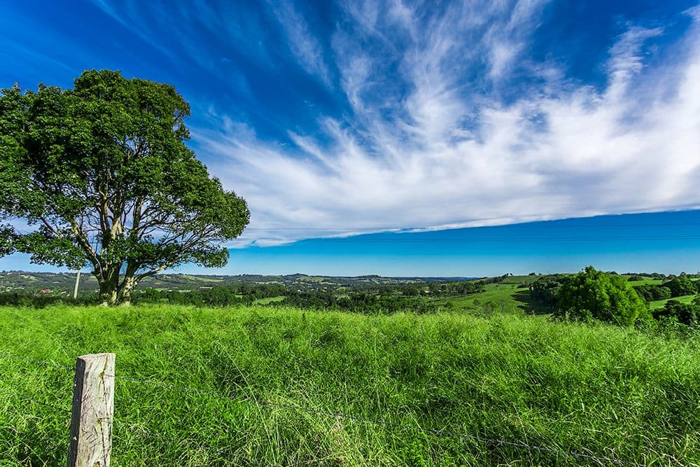 47a Cedarvale Road, Bangalow NSW 2479, Bangalow - Thumbnail 3