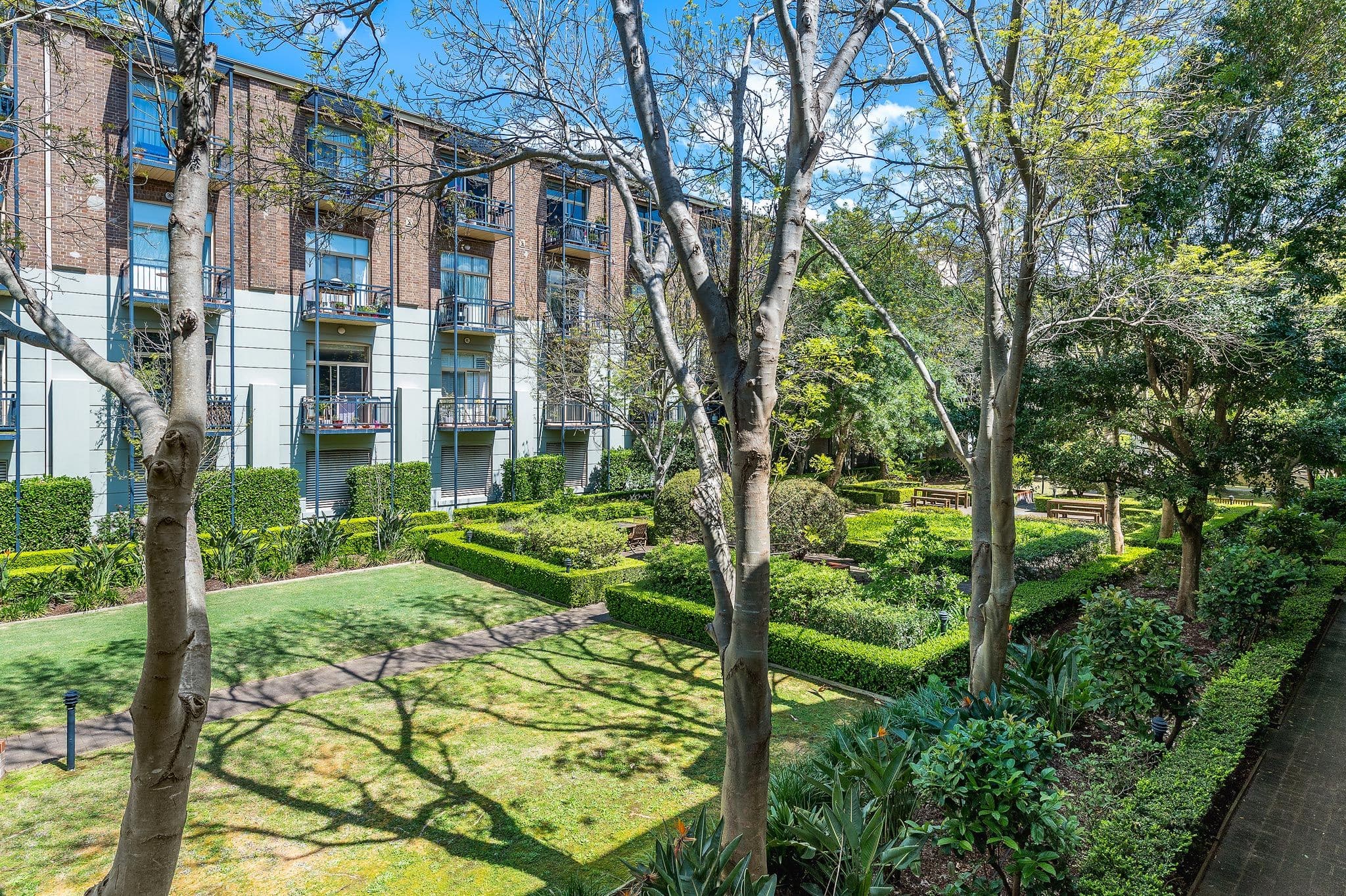50 Nelson Street, Annandale NSW 2038, Annandale - Thumbnail 7
