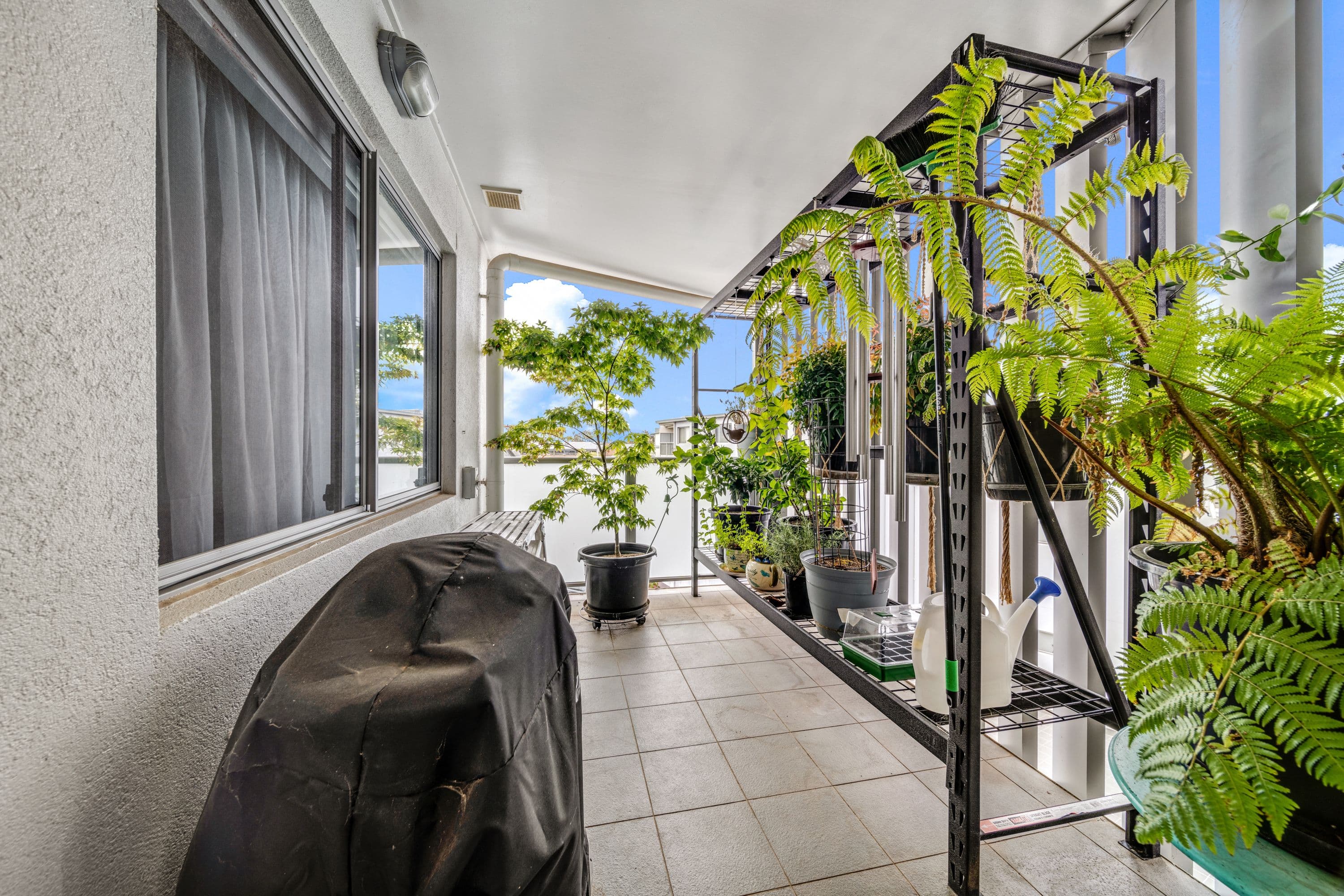 119 Redfern Street, Macquarie ACT 2614, Macquarie - Thumbnail 7