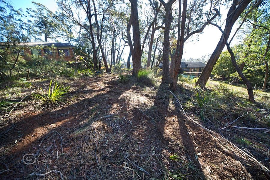29 Braeside Street, Blackheath NSW 2785, Blackheath - Thumbnail 5