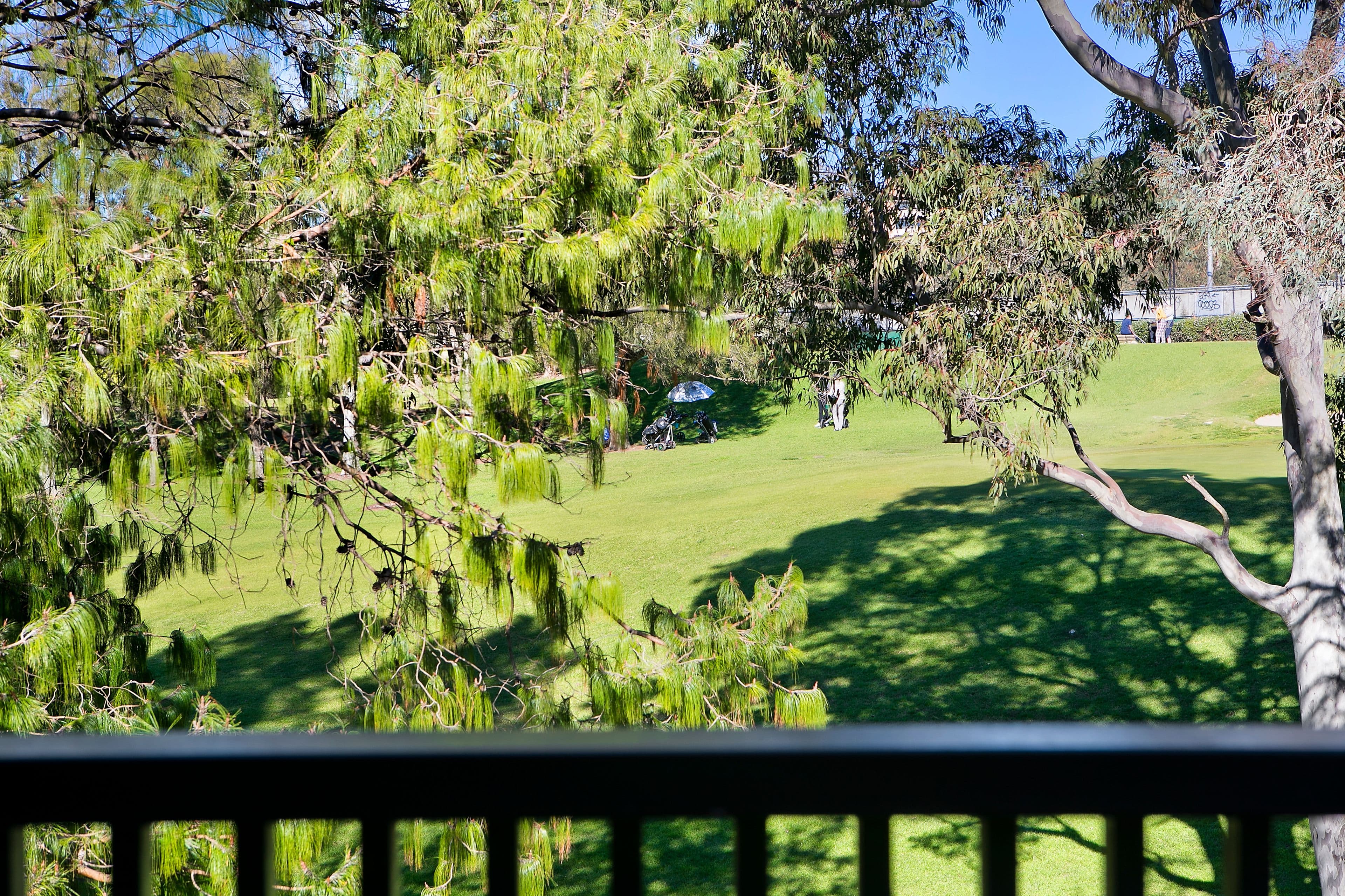 2 Bells Avenue, Cammeray NSW 2062, Cammeray - Thumbnail 5
