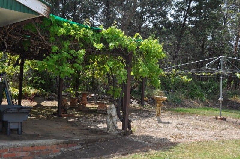 Lot 11 Broad Street, EUGOWRA NSW 2806, Eugowra - Thumbnail 3