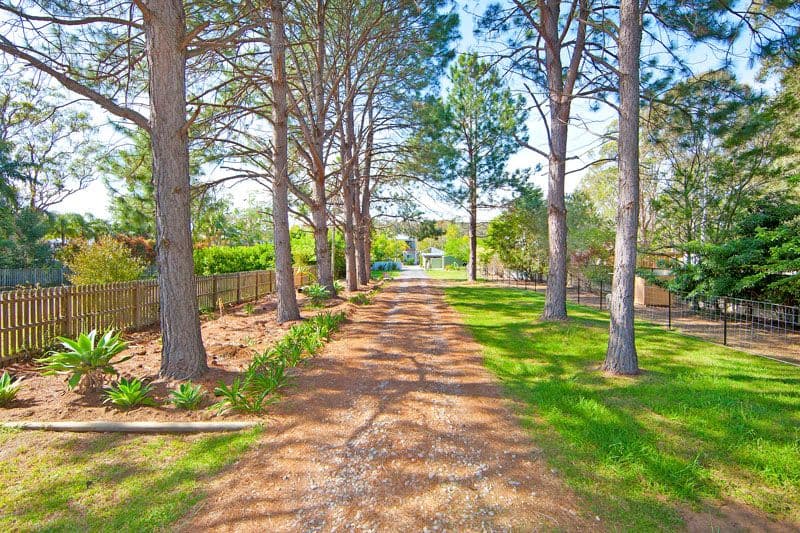 69 McDonagh Road, WYONG NSW 2259, Wyong - Thumbnail 2