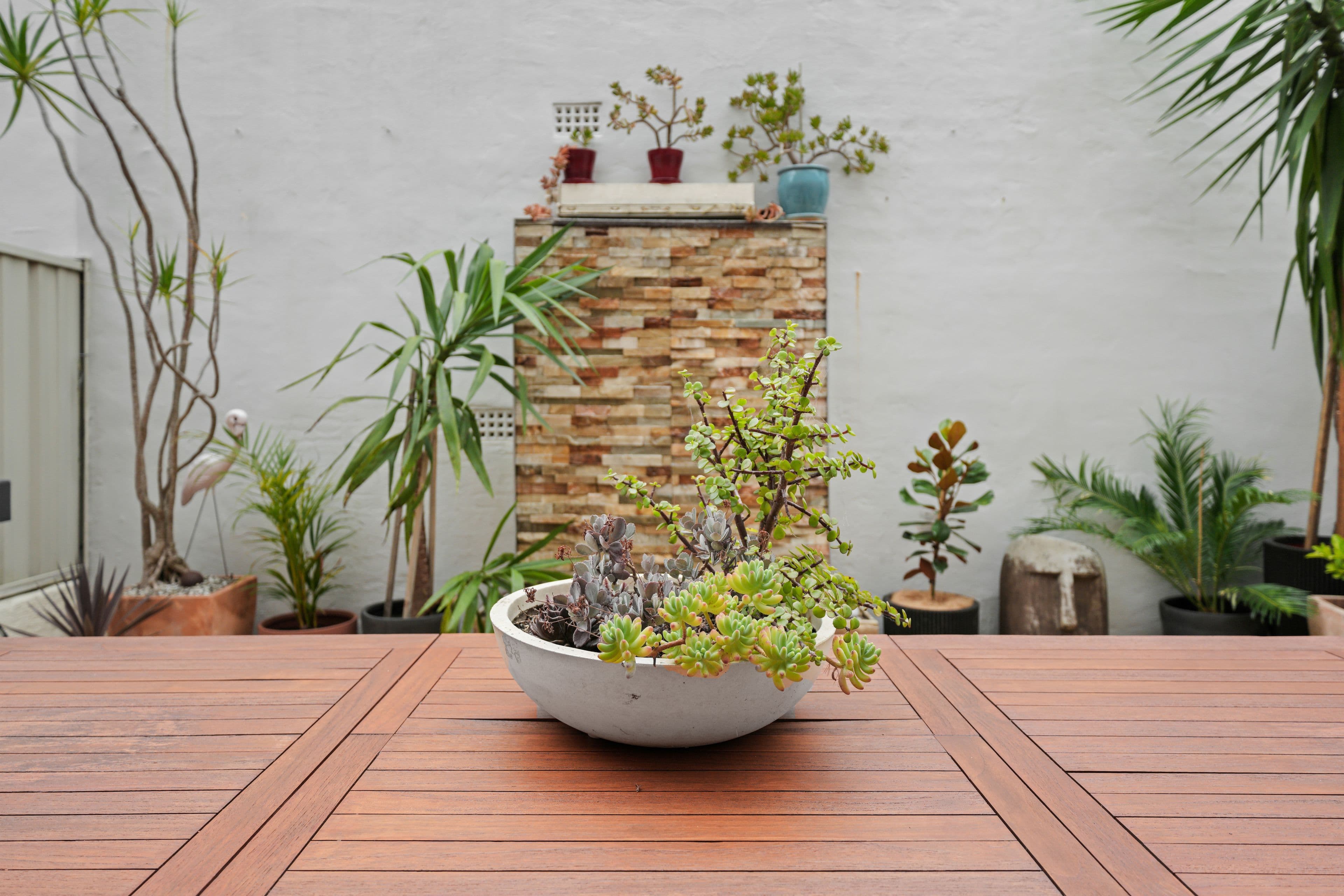 7-9 Pemell Lane, Newtown NSW 2042, Newtown - Thumbnail 8