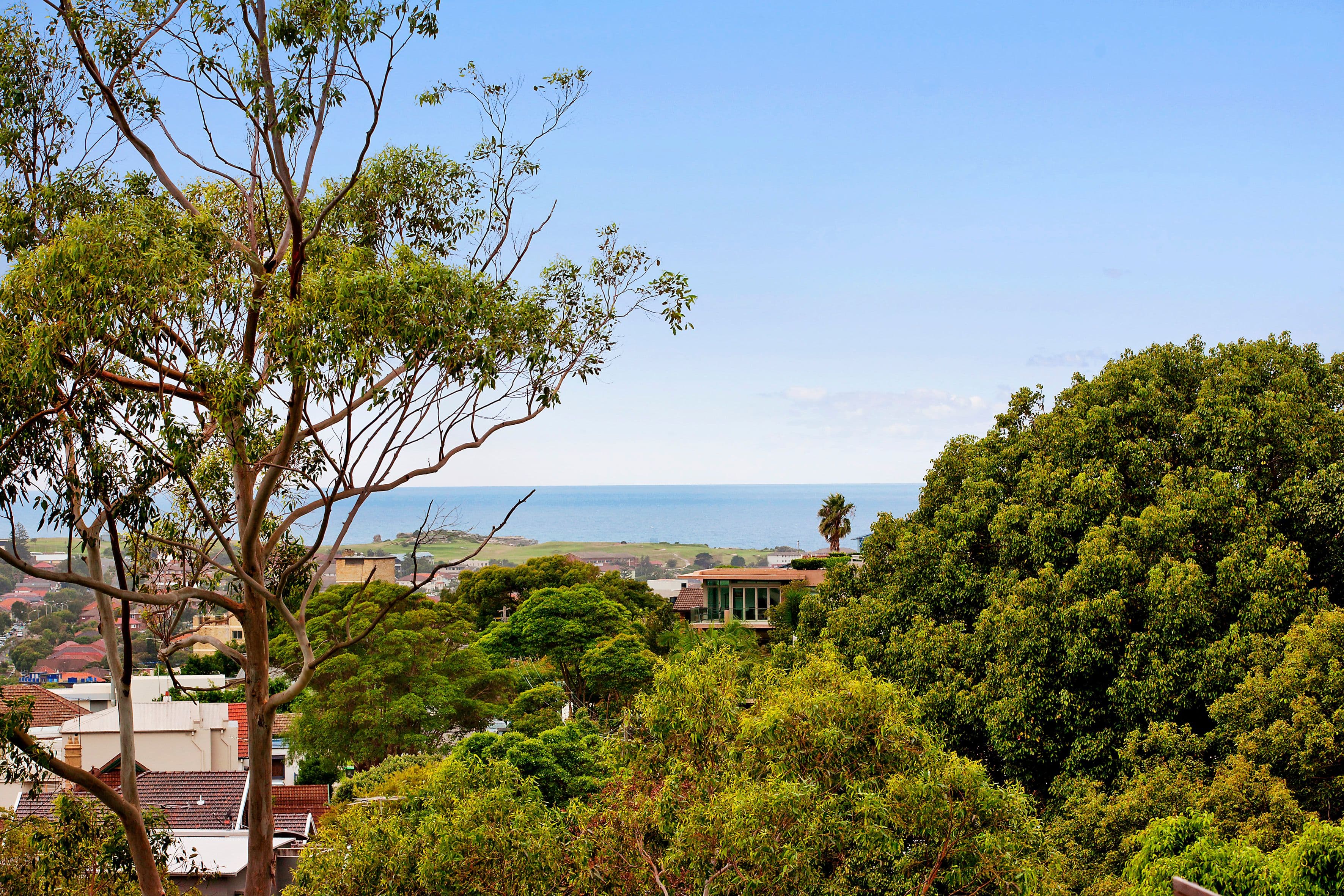 159 Victoria Road, Bellevue Hill NSW 2023, Bellevue Hill - Thumbnail 6