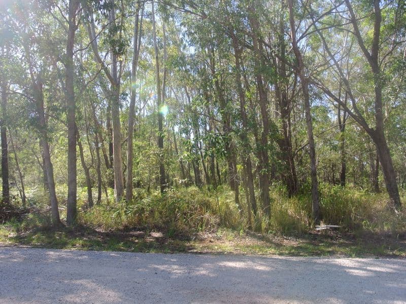 11 Rodds Road, Russell Island QLD 4184, Russell Island - Image 1