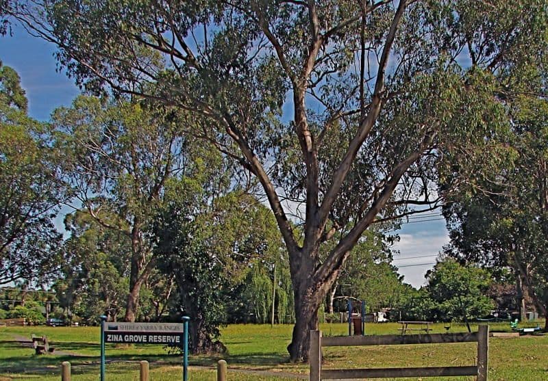 46 Zina Grove, MOOROOLBARK VIC 3138, Mooroolbark - Thumbnail 7