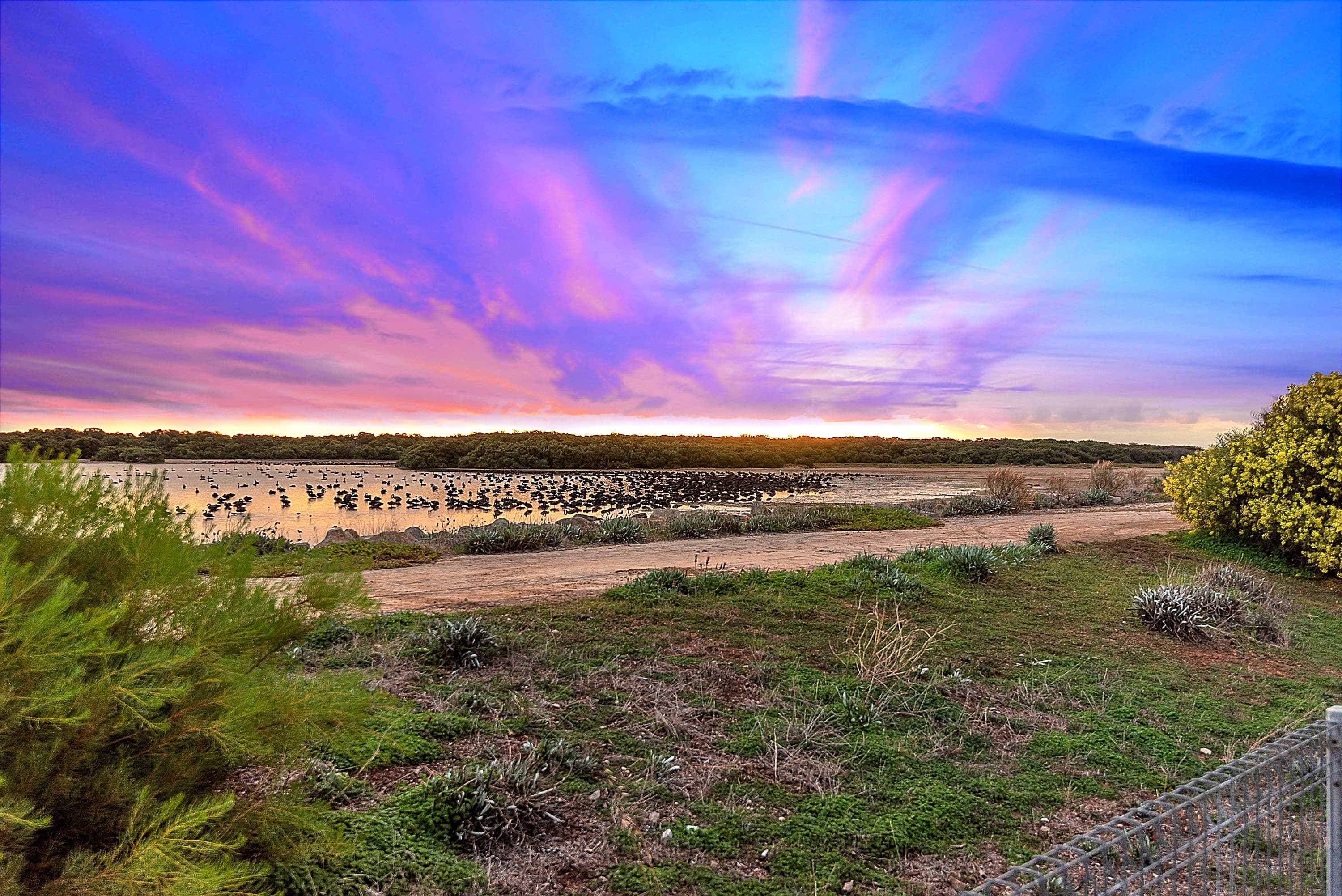 14 Beach Road, St Kilda SA 5110, St Kilda - Thumbnail 2