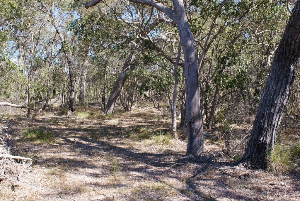 Lot 76 Wistari Terrace, Agnes Water QLD 4677, Agnes Water - Thumbnail 2