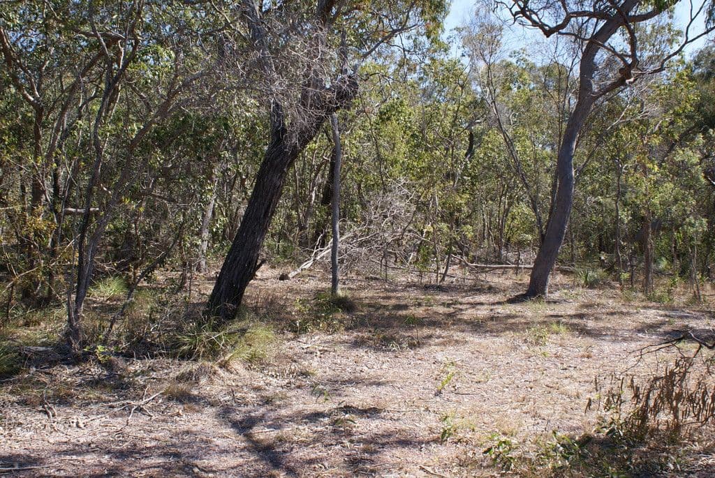 Lot 76 Wistari Terrace, Agnes Water QLD 4677, Agnes Water - Thumbnail 3