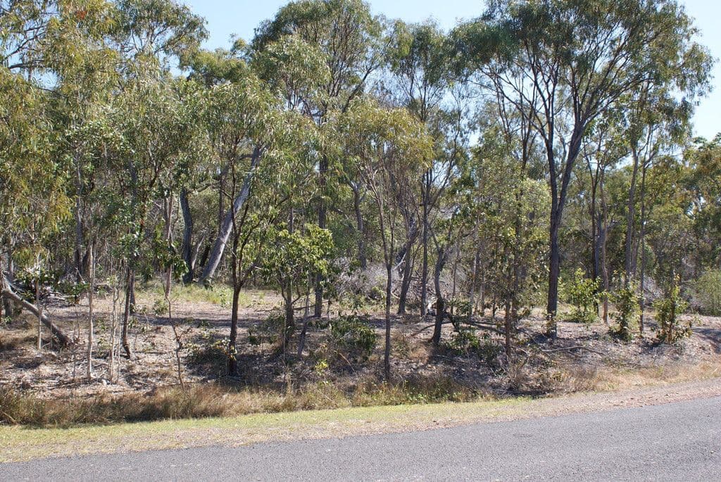 Lot 76 Wistari Terrace, Agnes Water QLD 4677, Agnes Water - Thumbnail 5