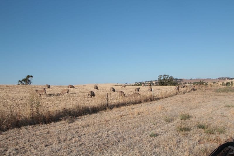 179 Schmerl Road, AUBURN SA 5451, Auburn - Thumbnail 8