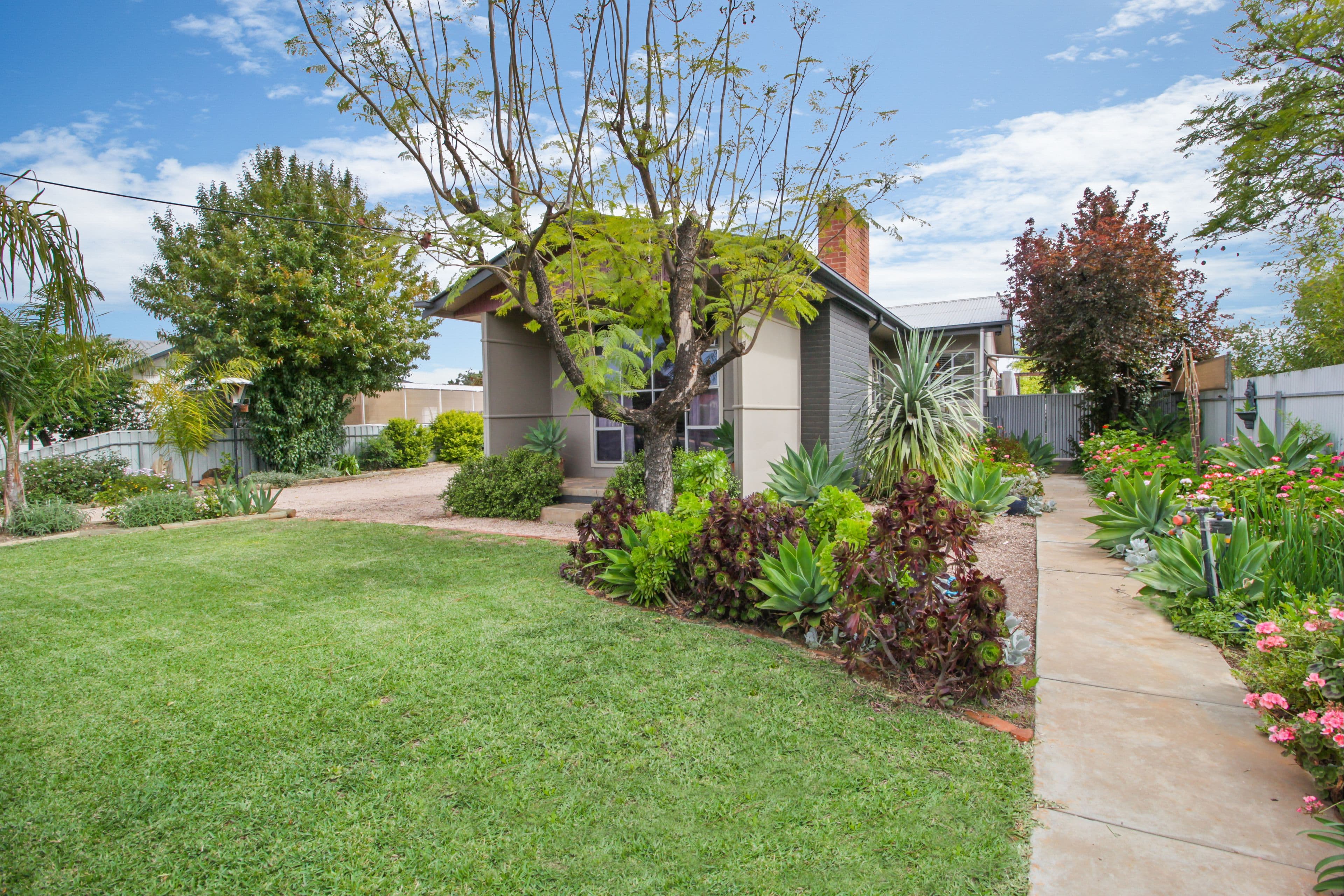 25 Fifteenth Street, Renmark SA 5341, Renmark - Thumbnail 2