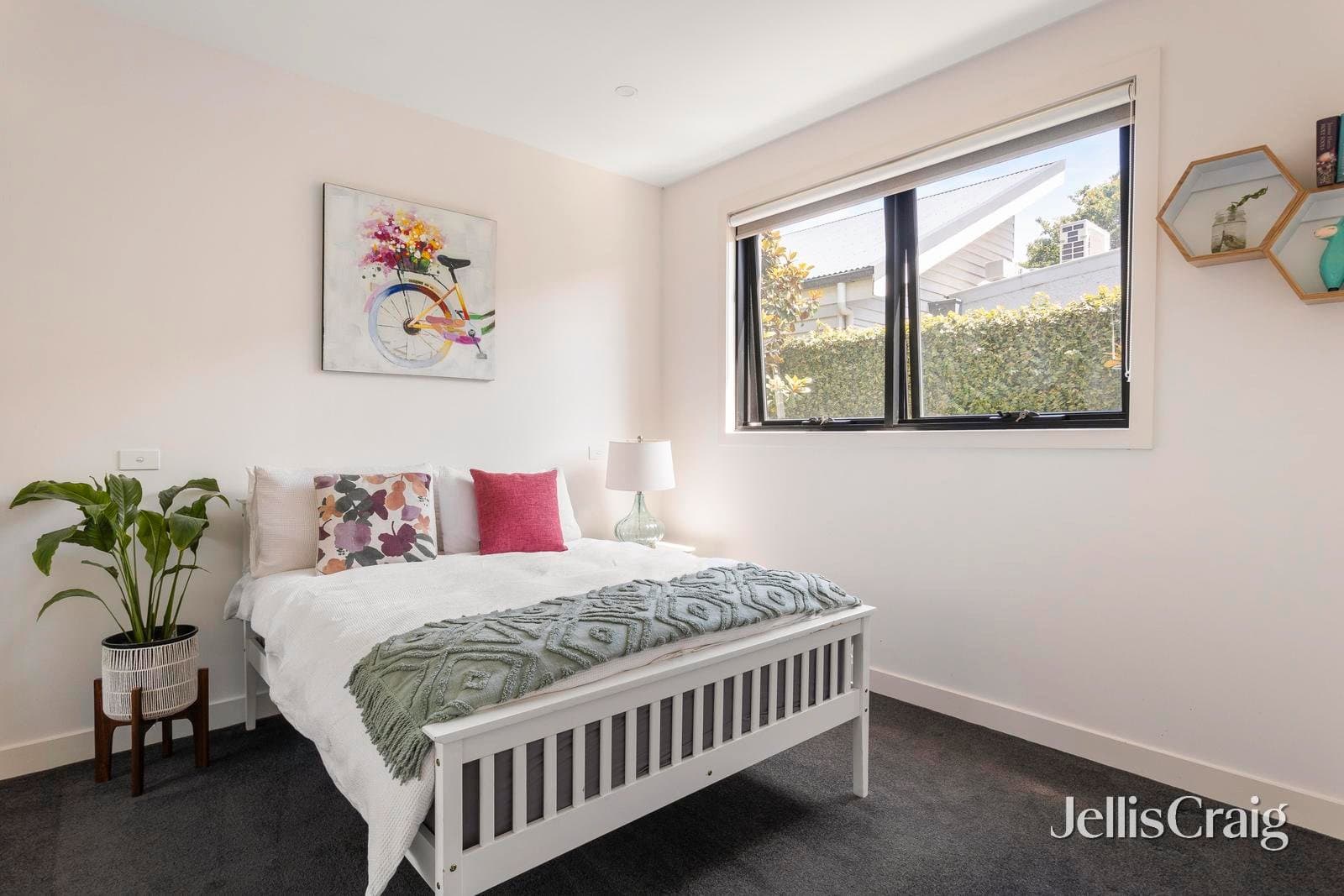 2/125 Grange Road, Fairfield, Fairfield - Thumbnail 3