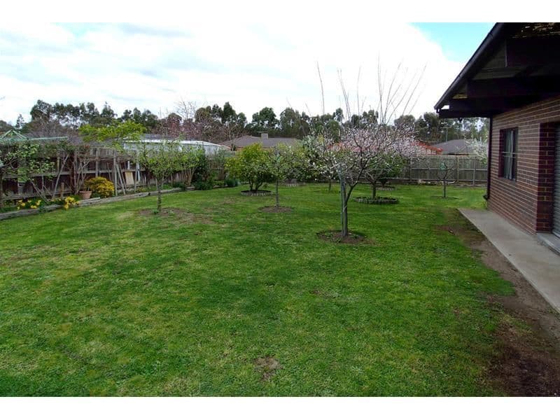 85 Betula Avenue, BUNDOORA VIC 3083, Bundoora - Thumbnail 3