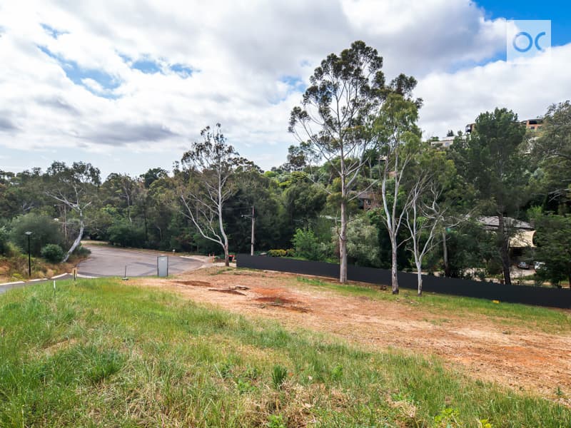 65 Stonyfell Road, Stonyfell - Thumbnail 5