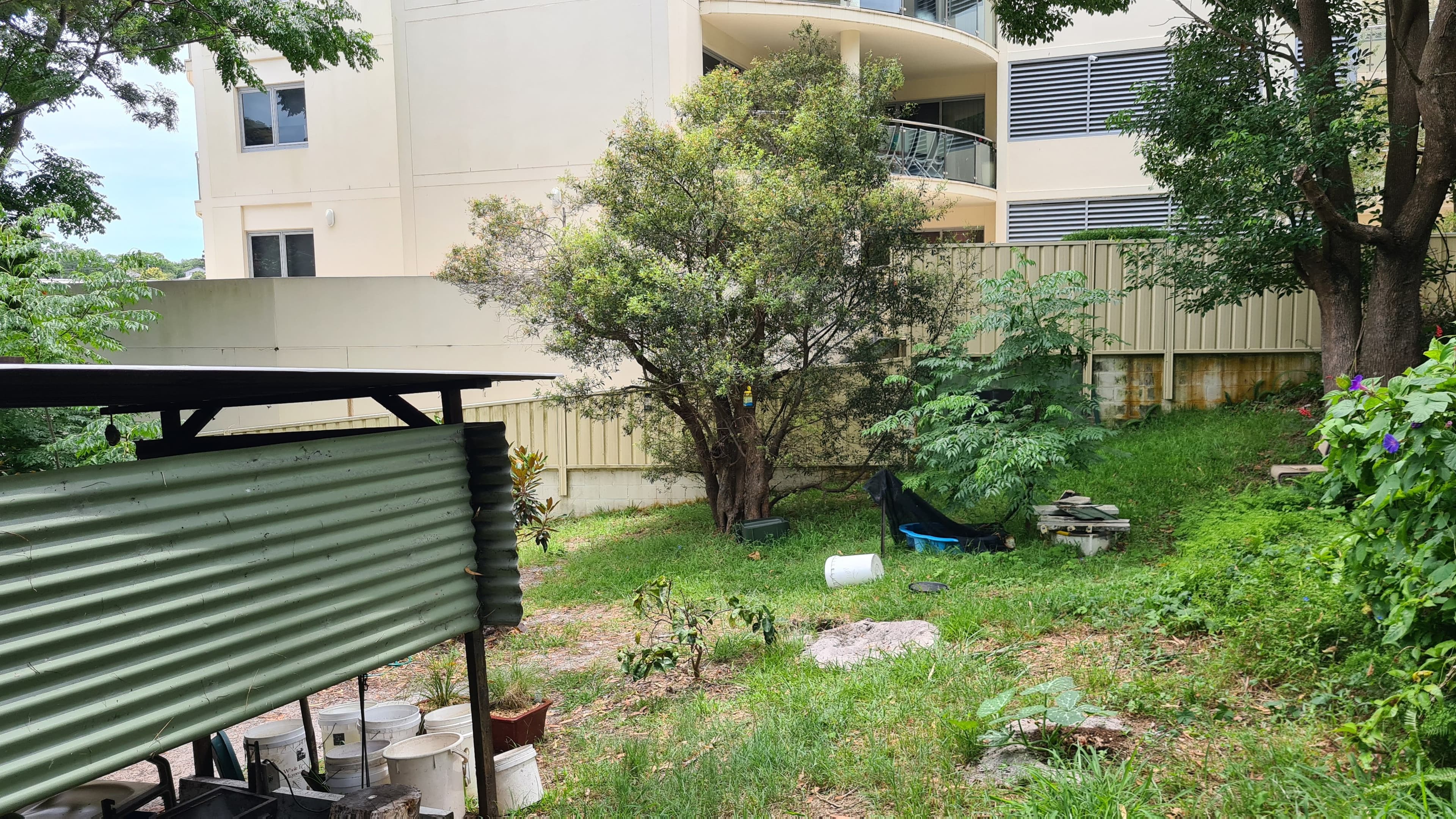 8 Donald Street, Nelson Bay NSW 2315, Nelson Bay - Thumbnail 4