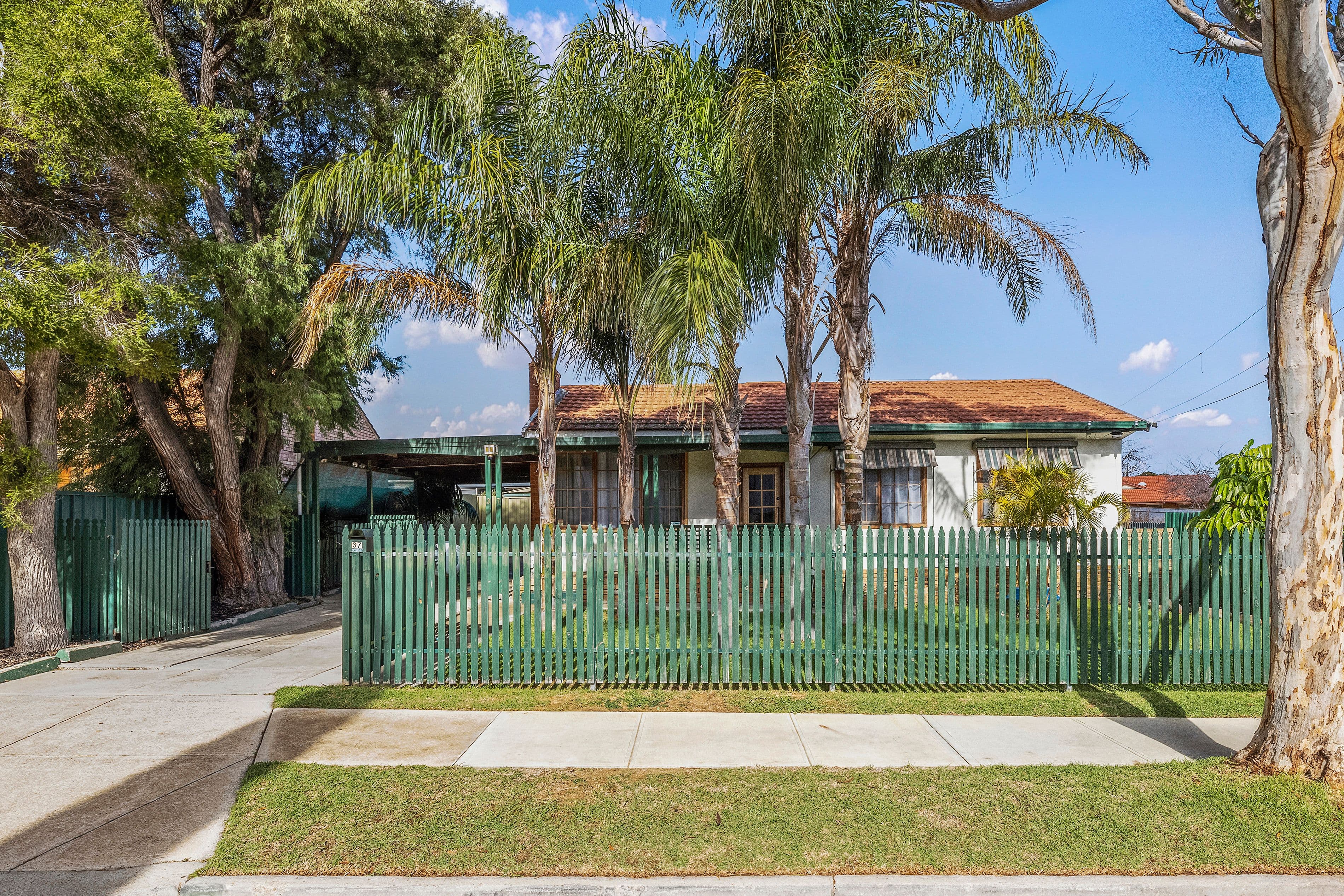 37 Audrey Avenue, Blair Athol SA 5084, Blair Athol - Image 1