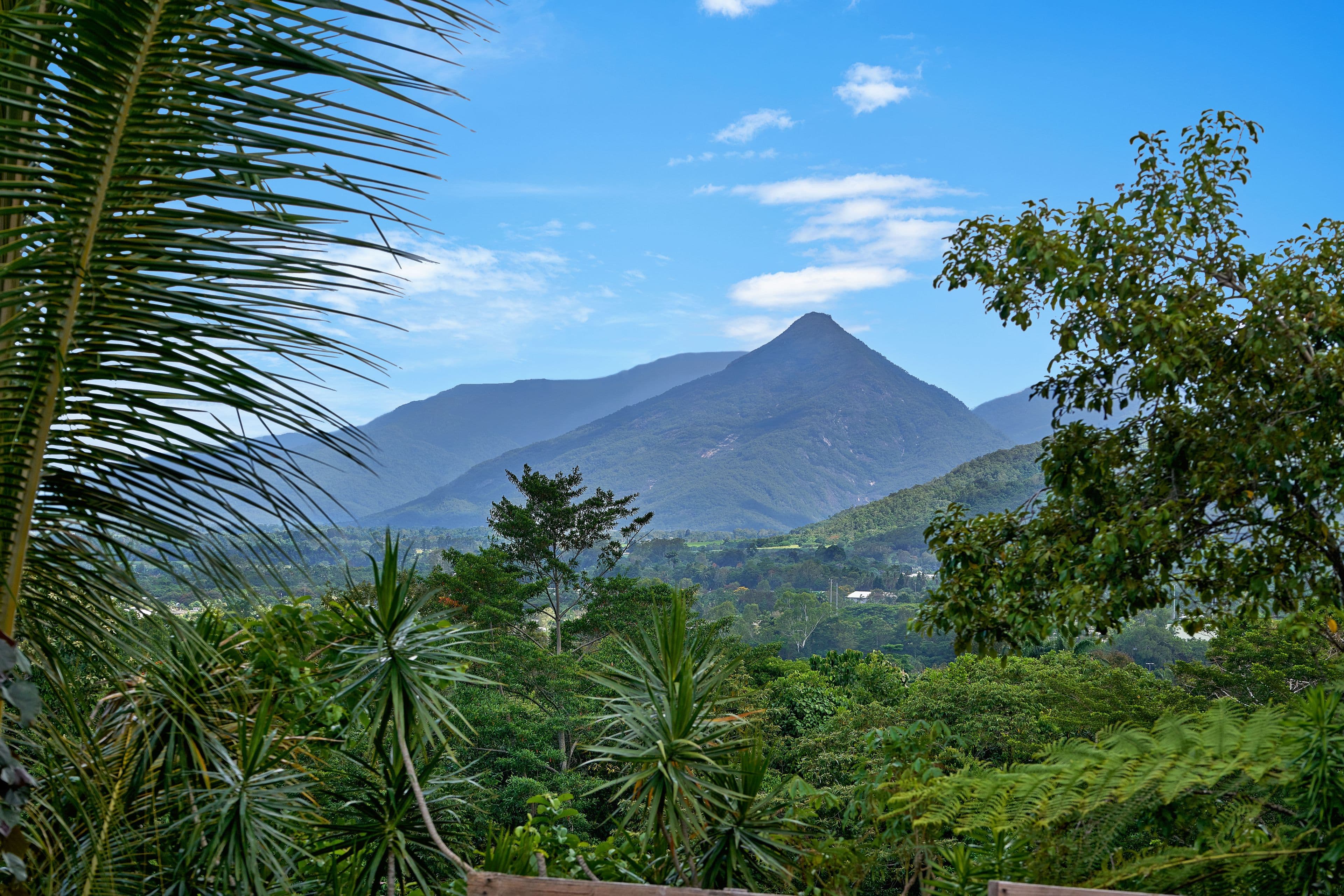 5 Aspen Close, Mount Sheridan QLD 4868, Mount Sheridan - Thumbnail 2