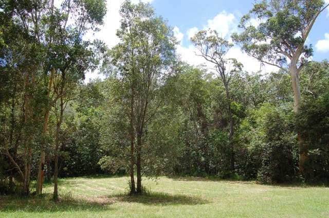 5 Mallee Close, DOONAN QLD 4562, Doonan - Thumbnail 5