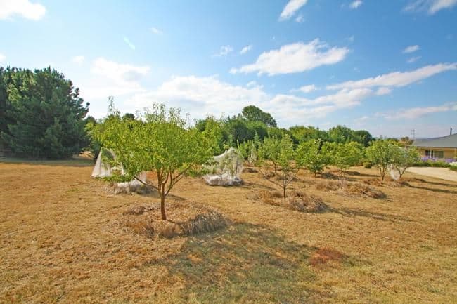 53 Hope Drive, BUNGENDORE NSW 2621, Bungendore - Thumbnail 7