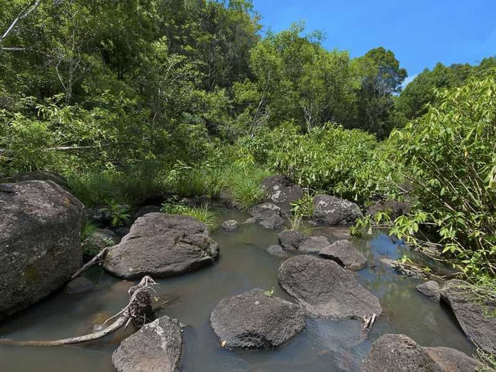 92 Repentance Creek Road, Goonengerry - Thumbnail 5