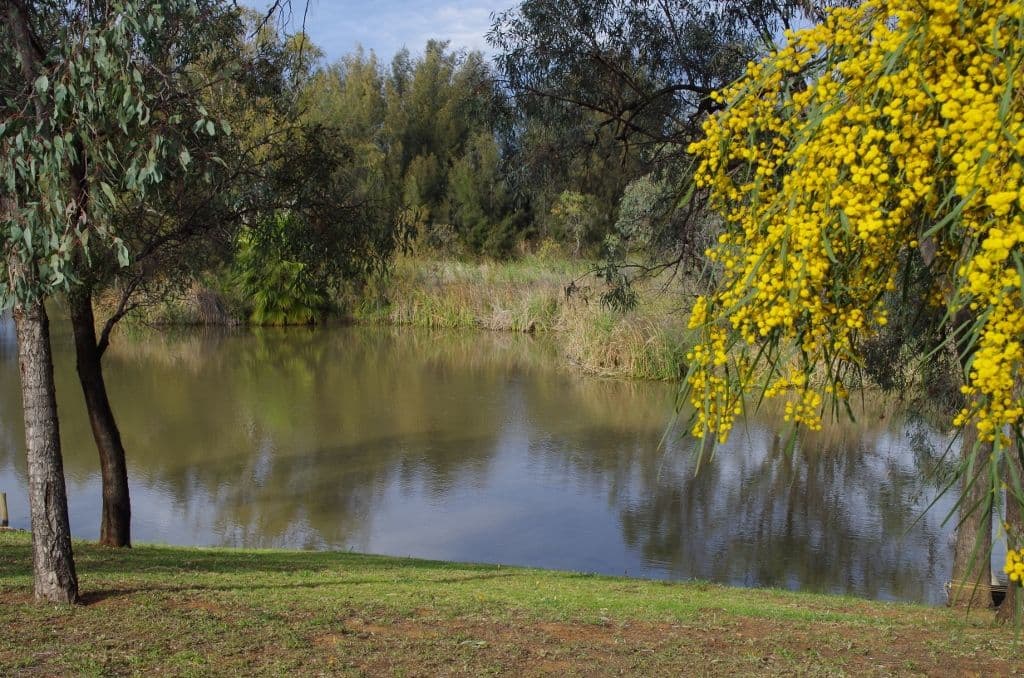 31 Meander Avenue, Renmark SA 5341, Renmark - Image 1